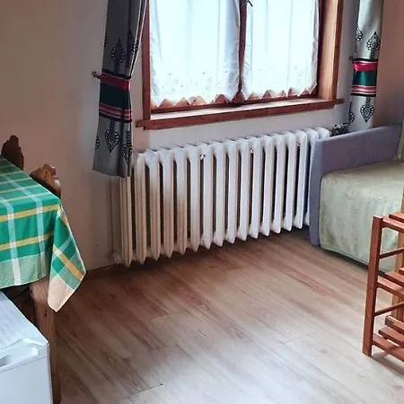 Проживание в семье Goscinne Rysy Закопане